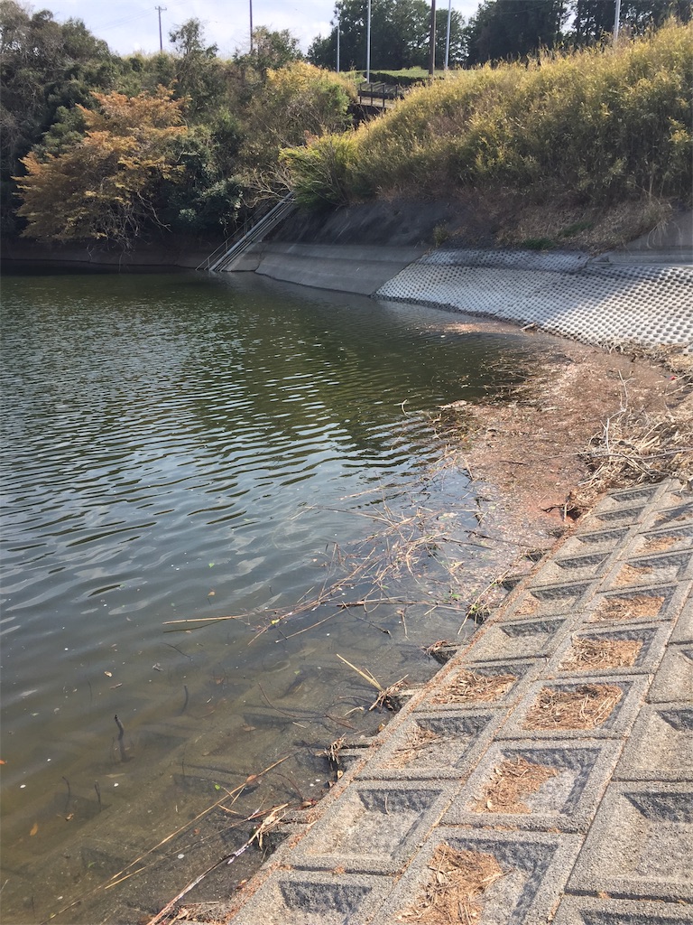 f:id:kougagennosuke:20210327210501j:image
