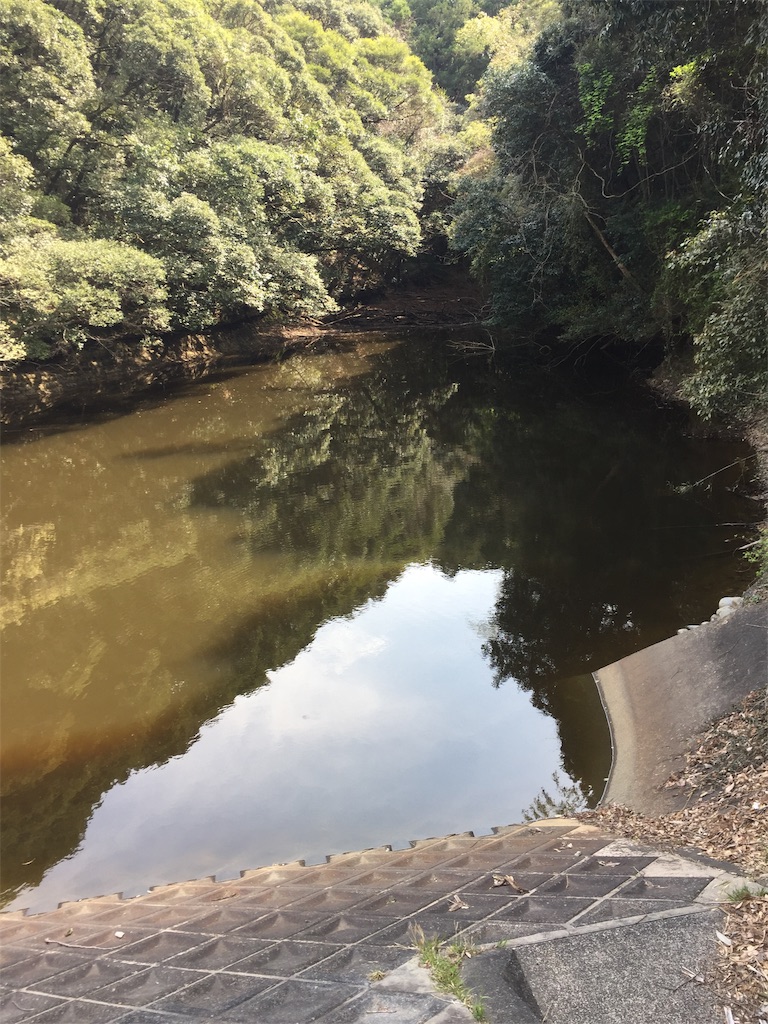 f:id:kougagennosuke:20210327210708j:image f:id:kougagennosuke:20210327210708j:image