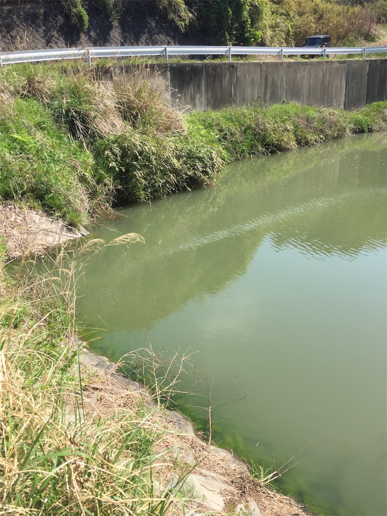 f:id:kougagennosuke:20210410203741j:image f:id:kougagennosuke:20210410203741j:image