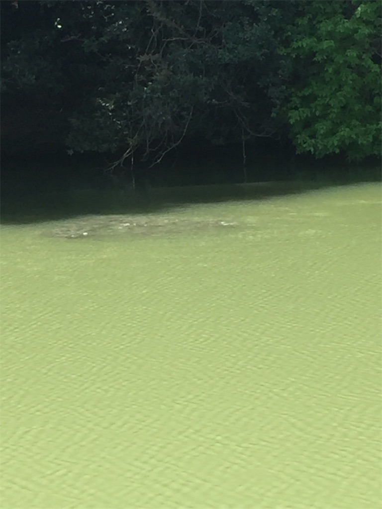 f:id:kougagennosuke:20210411183348j:image