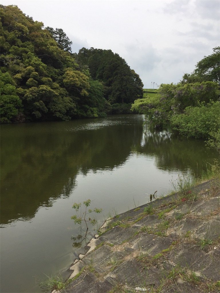 f:id:kougagennosuke:20210425194421j:image