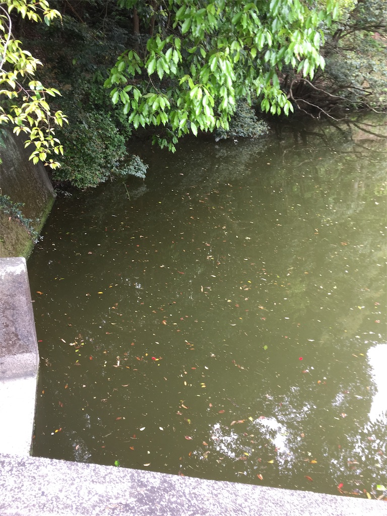 f:id:kougagennosuke:20210425194431j:image