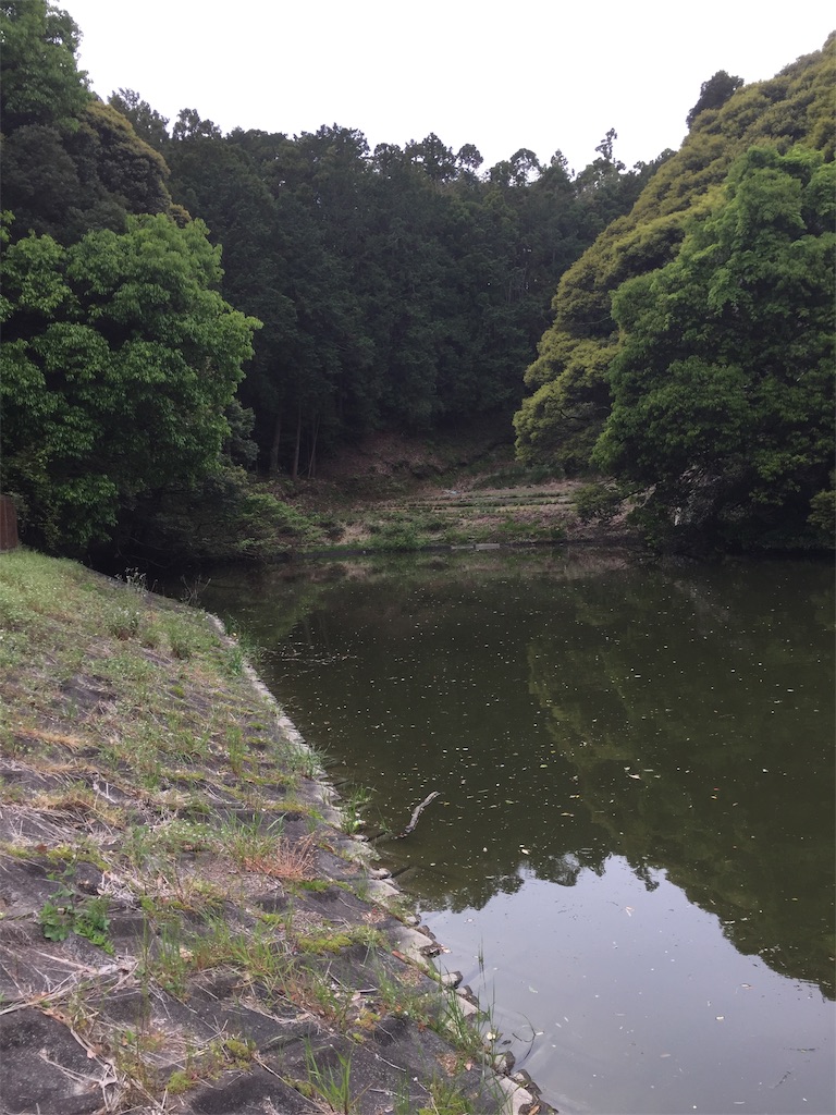 f:id:kougagennosuke:20210425194443j:image