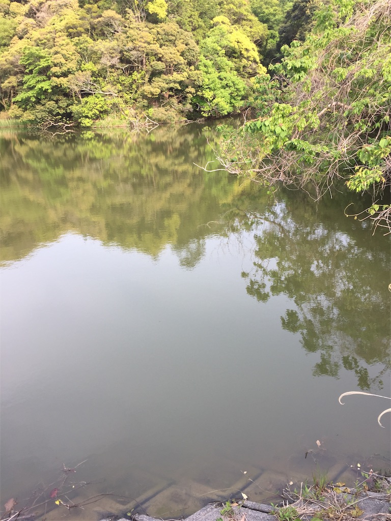 f:id:kougagennosuke:20210425194932j:image