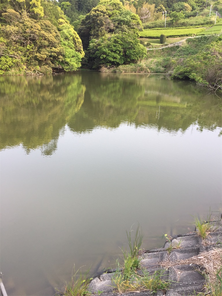 f:id:kougagennosuke:20210425194945j:image