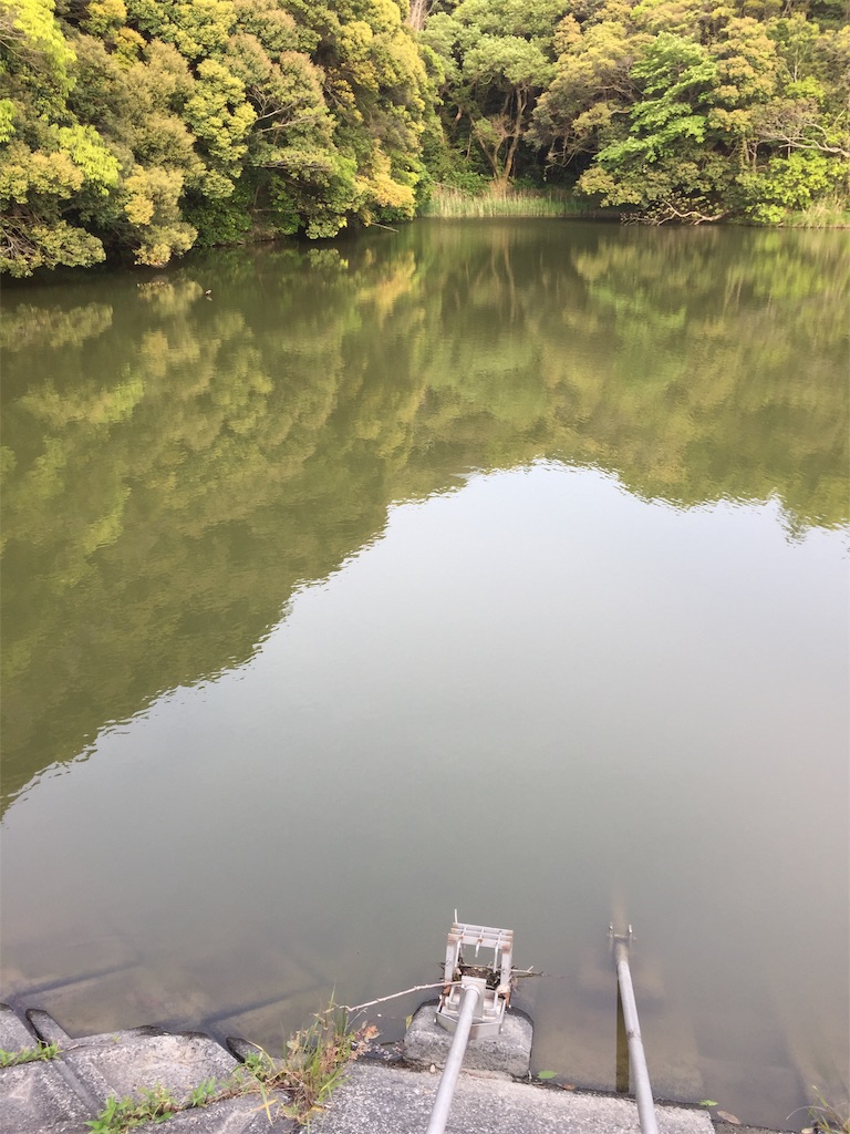 f:id:kougagennosuke:20210425194952j:image
