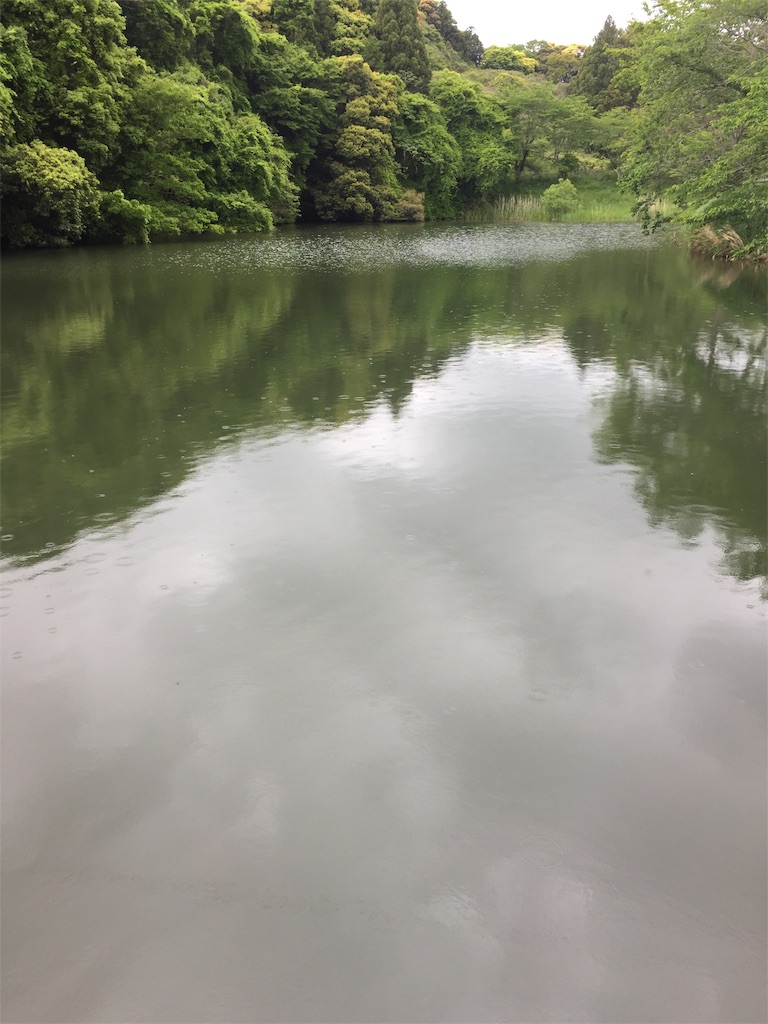 f:id:kougagennosuke:20210505164333j:image