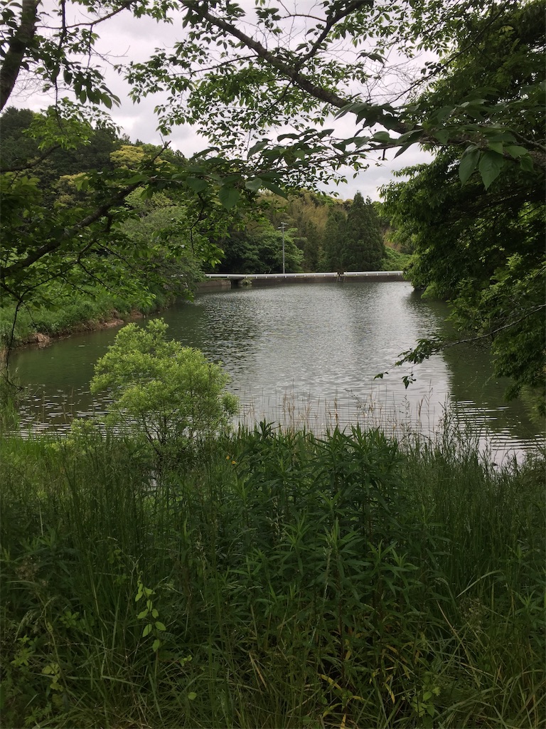 f:id:kougagennosuke:20210505164341j:image