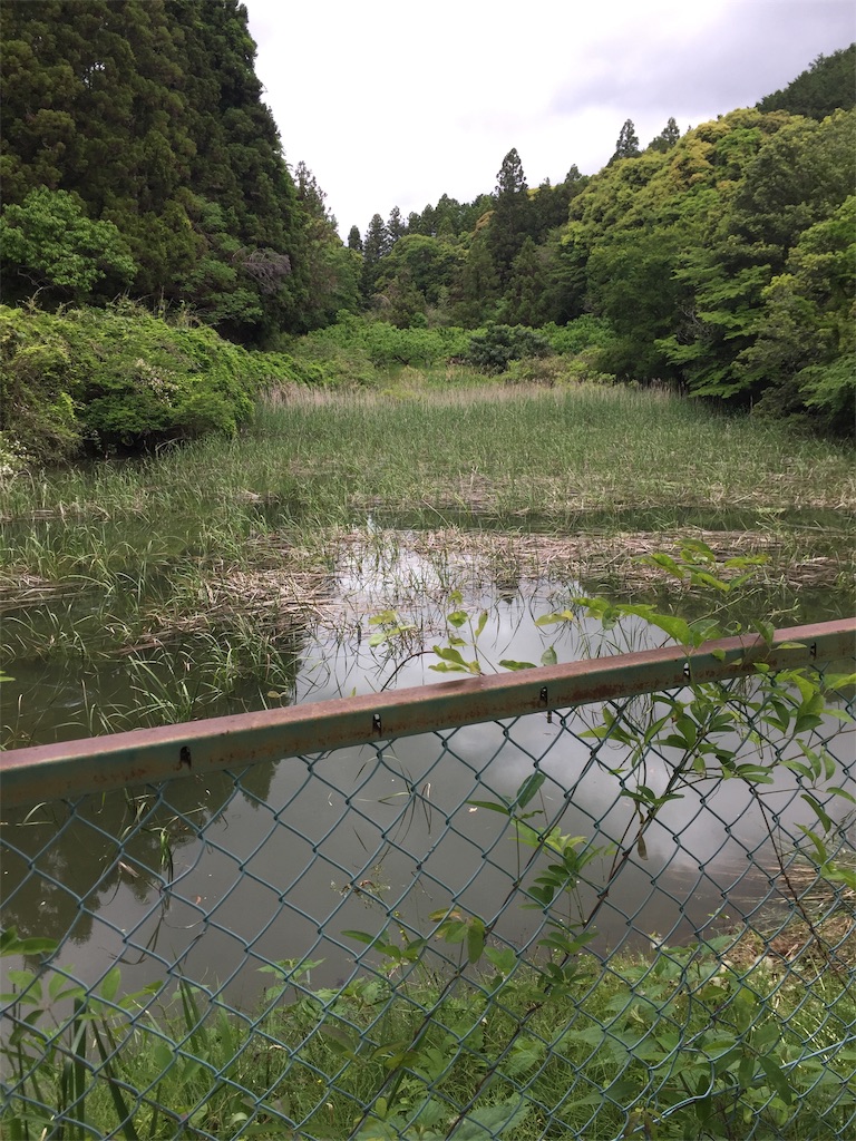 f:id:kougagennosuke:20210505164432j:image f:id:kougagennosuke:20210505164432j:image