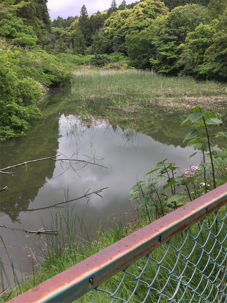 f:id:kougagennosuke:20210505164438j:image f:id:kougagennosuke:20210505164438j:image