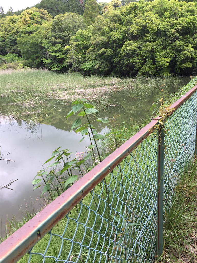 f:id:kougagennosuke:20210505164447j:image f:id:kougagennosuke:20210505164447j:image