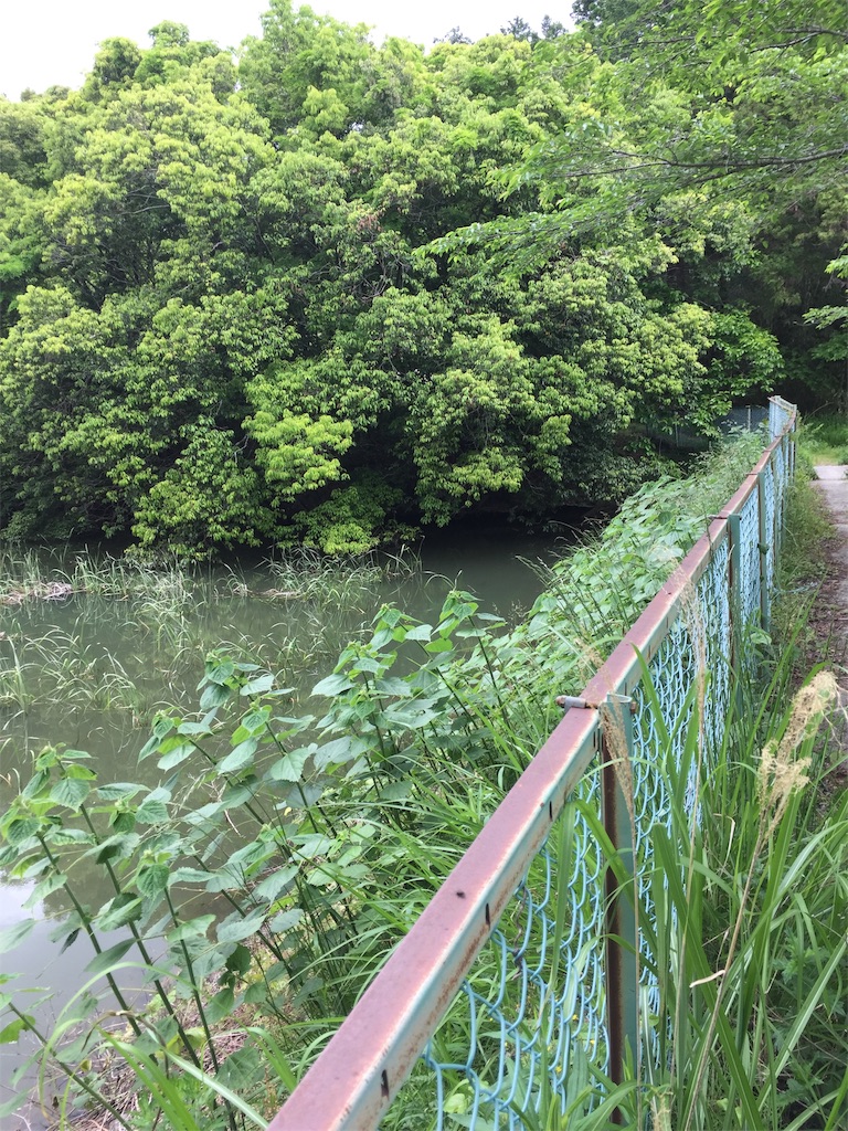 f:id:kougagennosuke:20210505164453j:image f:id:kougagennosuke:20210505164453j:image