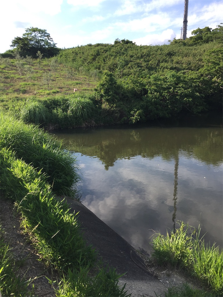 f:id:kougagennosuke:20210523214557j:image