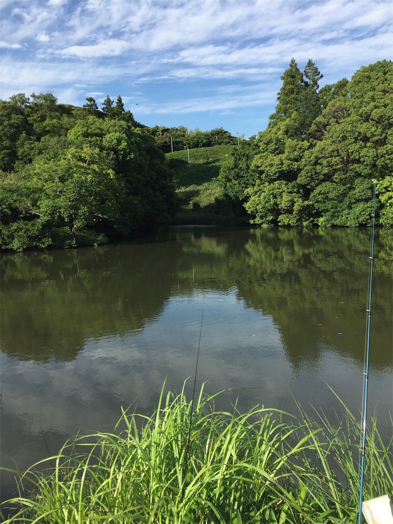 f:id:kougagennosuke:20210523214604j:image