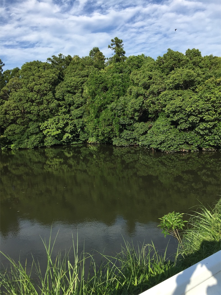 f:id:kougagennosuke:20210523214611j:image