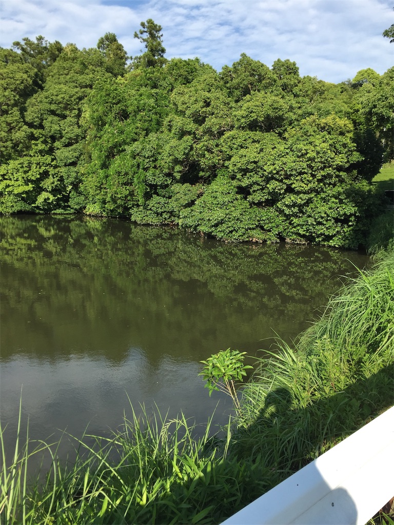 f:id:kougagennosuke:20210523214624j:image