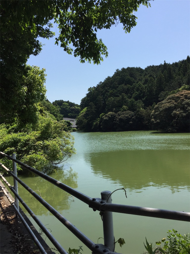 f:id:kougagennosuke:20220505145417j:image