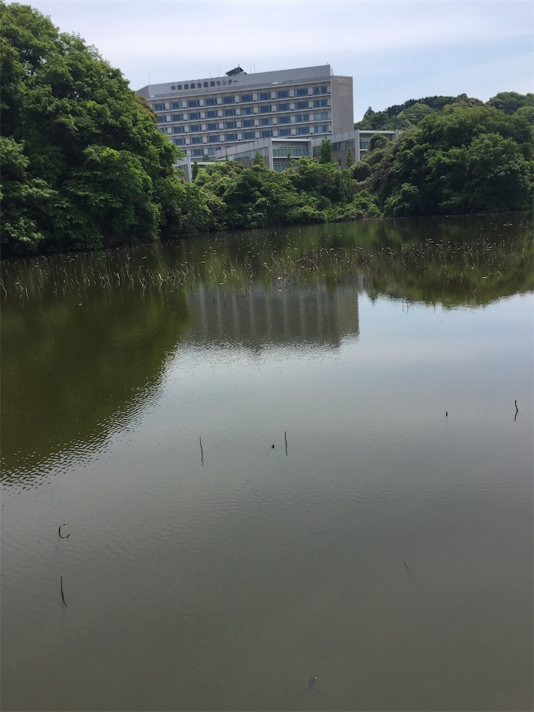 f:id:kougagennosuke:20220527161100j:image