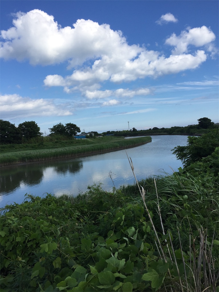 f:id:kougagennosuke:20220613145448j:image