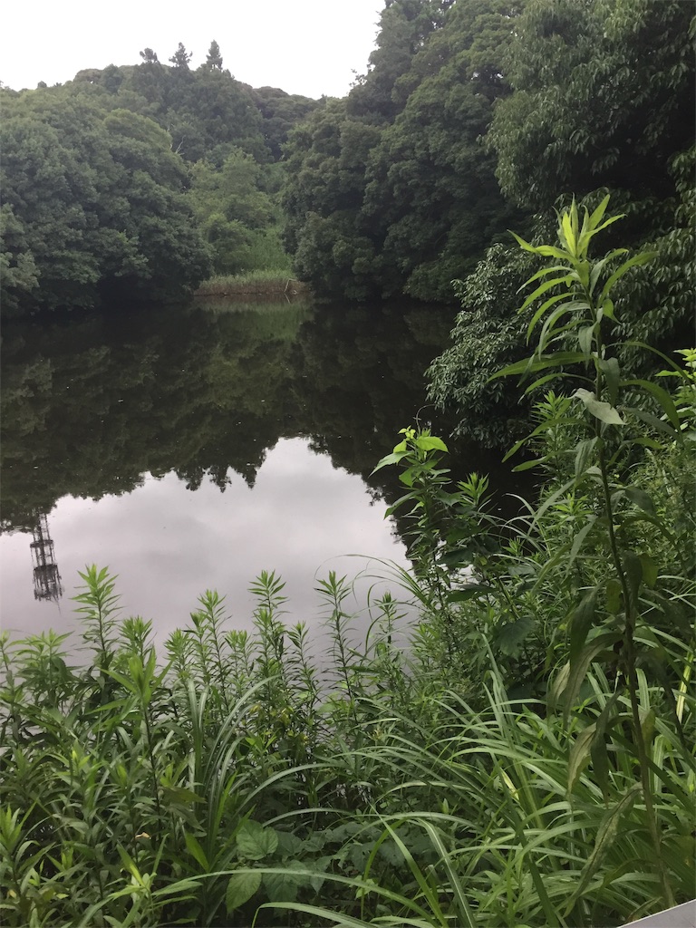 f:id:kougagennosuke:20220708211617j:image