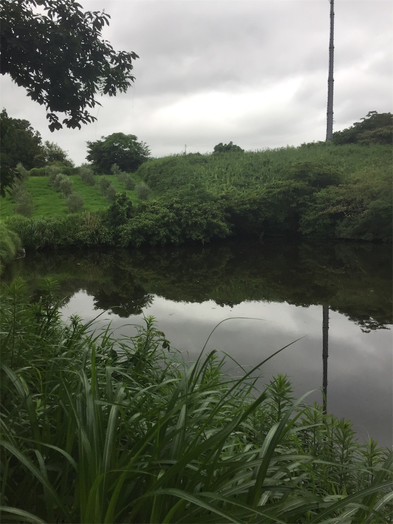 f:id:kougagennosuke:20220708211626j:image
