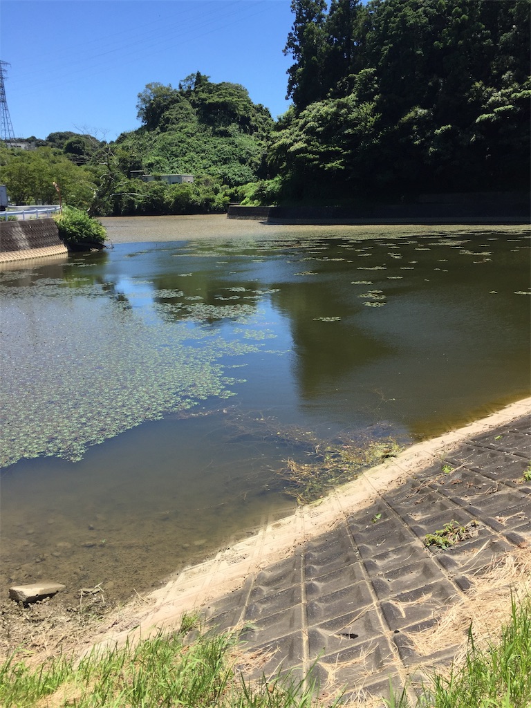 f:id:kougagennosuke:20220727205700j:image