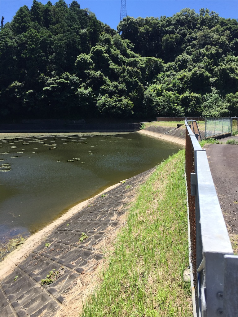 f:id:kougagennosuke:20220727205714j:image