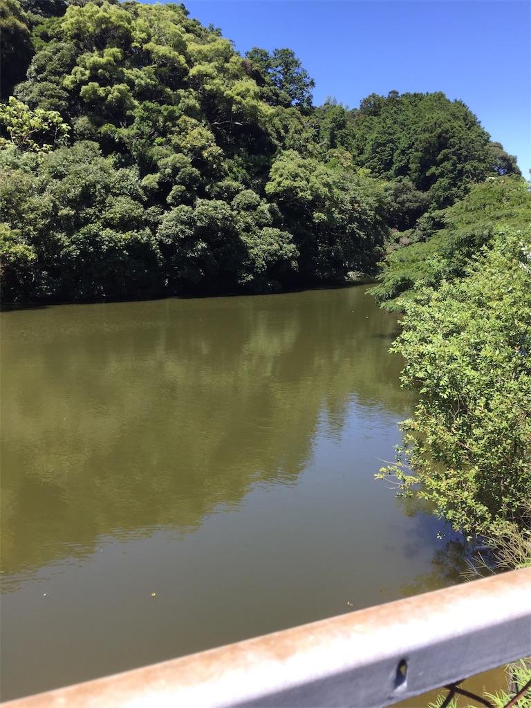 f:id:kougagennosuke:20220728111611j:image