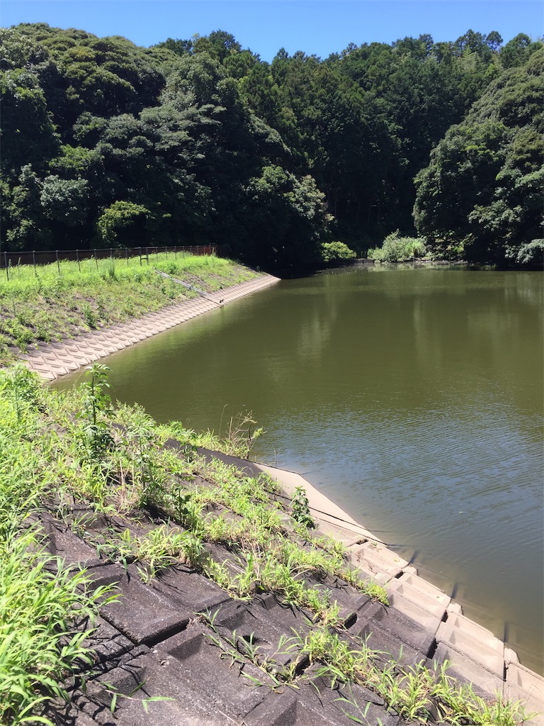 f:id:kougagennosuke:20220728111622j:image