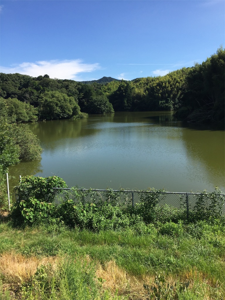 f:id:kougagennosuke:20220811093318j:image f:id:kougagennosuke:20220811093318j:image