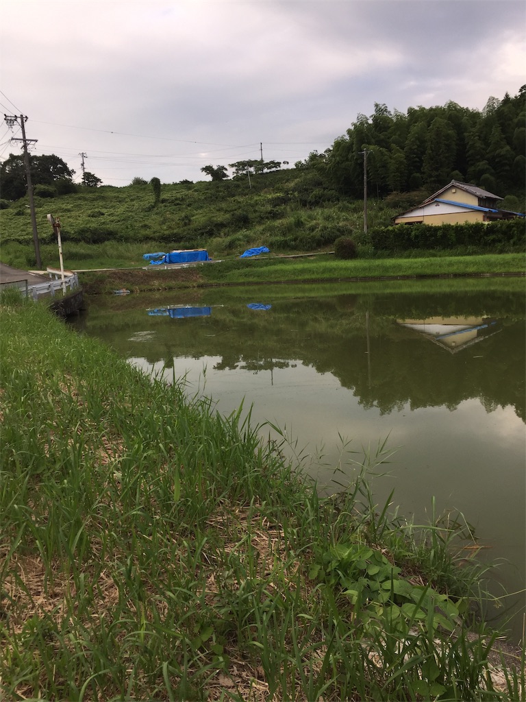 f:id:kougagennosuke:20220823205903j:image