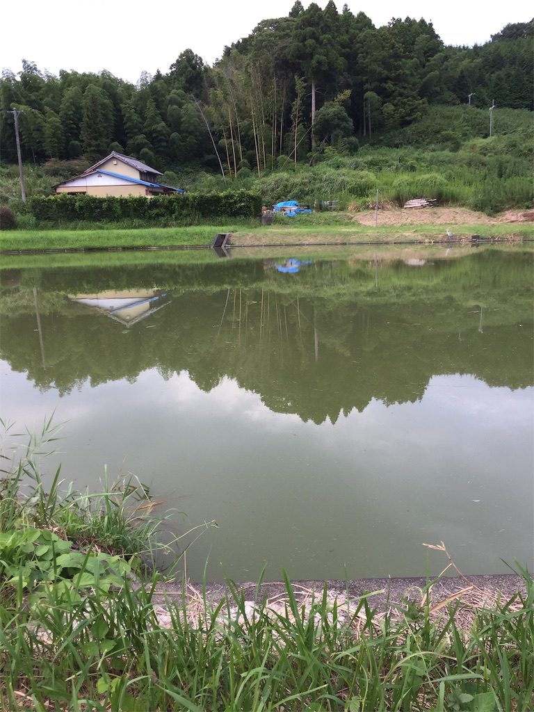 f:id:kougagennosuke:20220823205918j:image