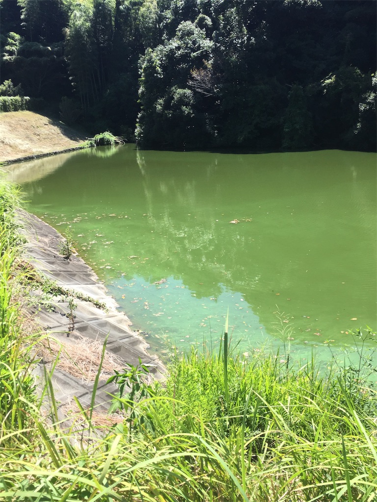 f:id:kougagennosuke:20220924112915j:image