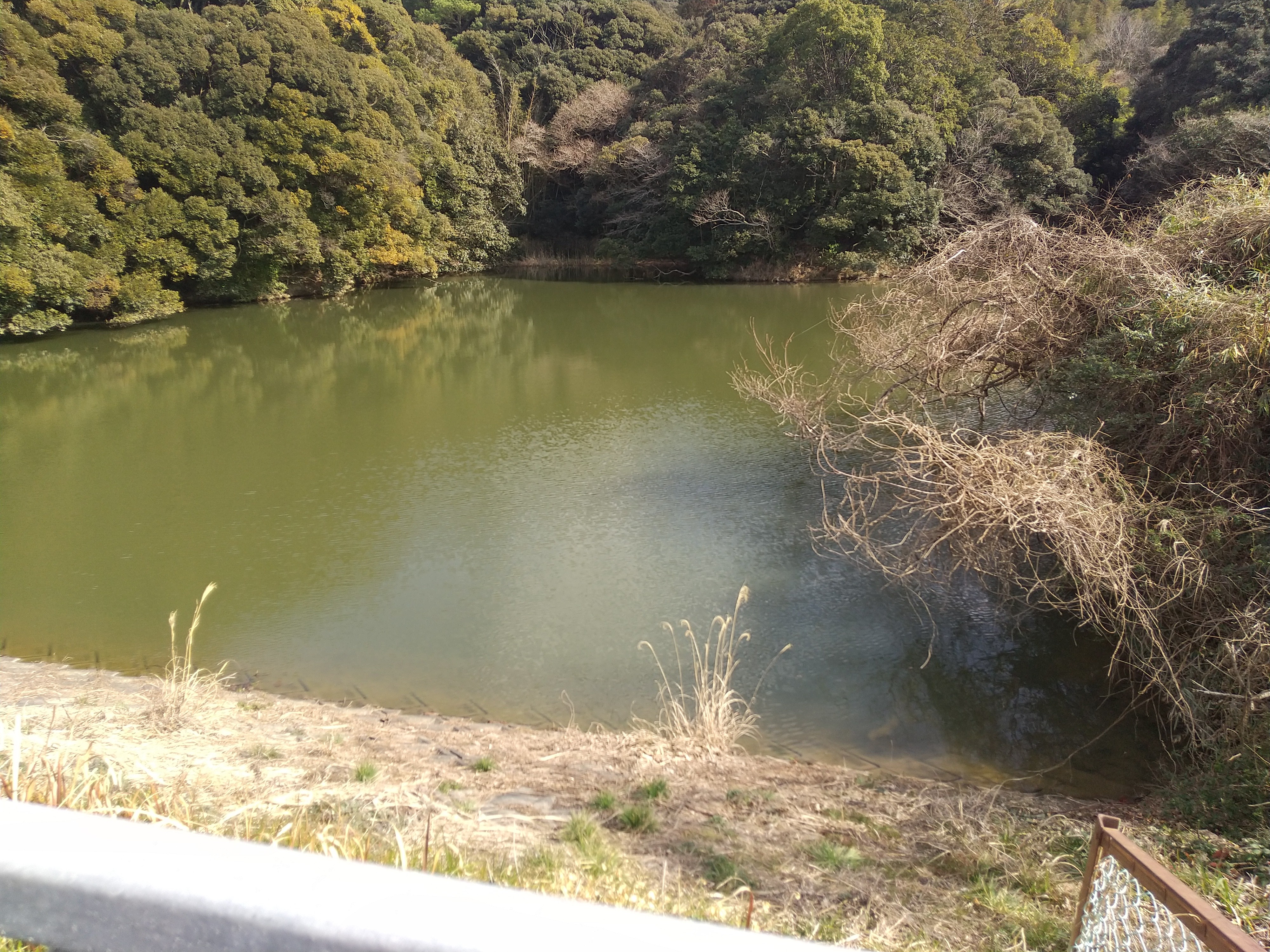 f:id:kougagennosuke:20230213195322j:image