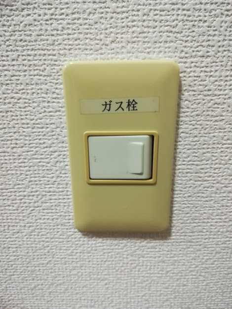 ガスファンヒーターを初めて購入 その使い勝手は 子ども4人のドタバタ日記