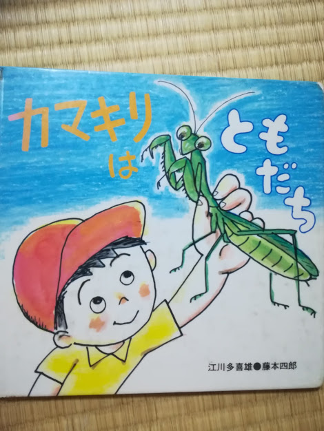 f:id:kougainet:20181114205936j:plain