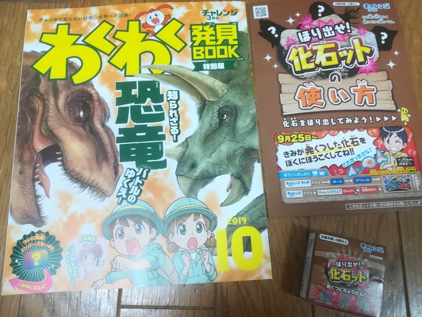 長女のチャレンジ3年生 わくわく発見book の感想 化石発掘に挑戦できるキットに次男が大興奮 子ども4人のドタバタ日記