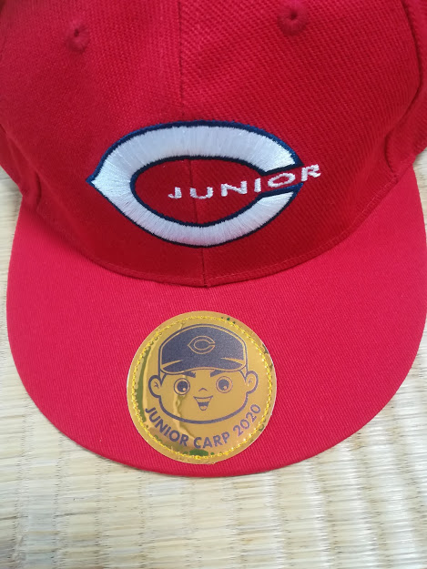 f:id:kougainet:20200129214131j:plain f:id:kougainet:20200129214131j:plain