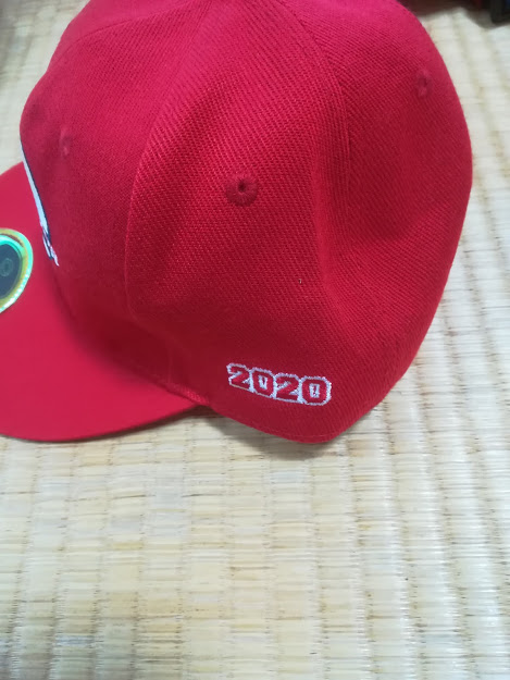 f:id:kougainet:20200129214316j:plain f:id:kougainet:20200129214316j:plain