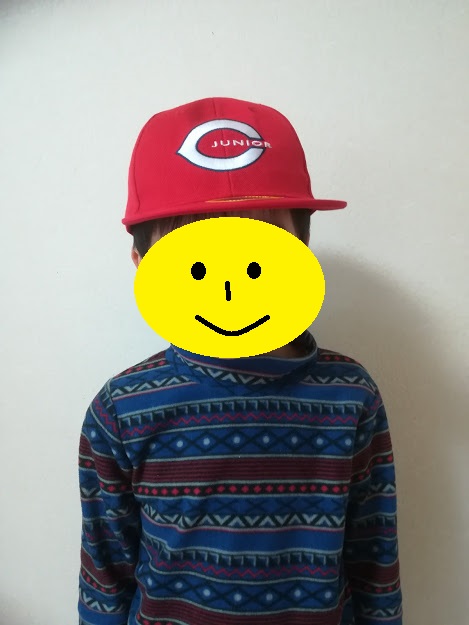 f:id:kougainet:20200129214450j:plain f:id:kougainet:20200129214450j:plain