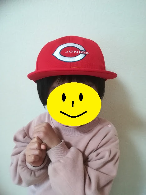 f:id:kougainet:20200129214634j:plain f:id:kougainet:20200129214634j:plain