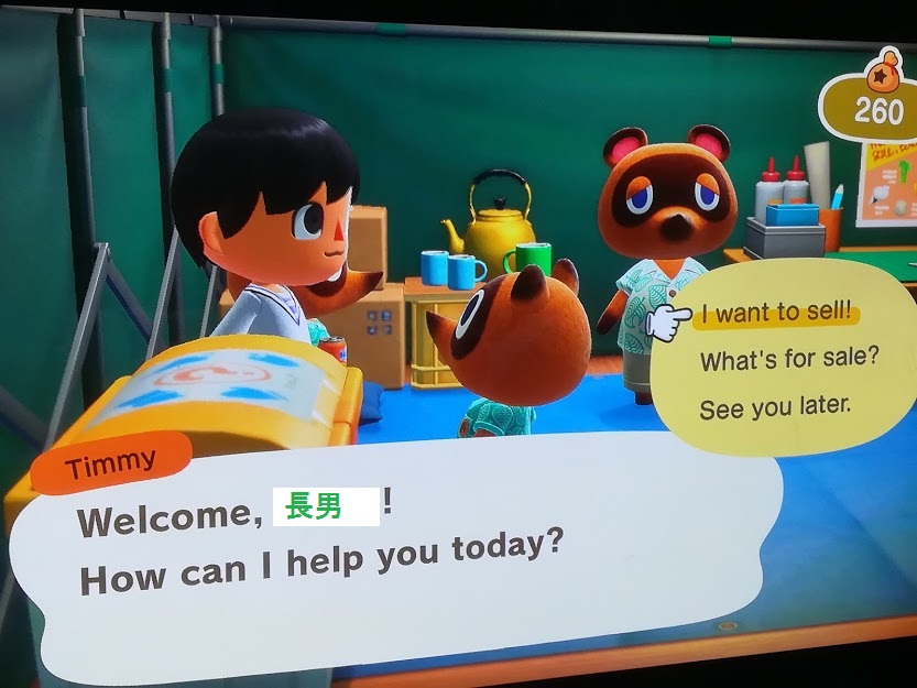 f:id:kougainet:20200330165735j:plain