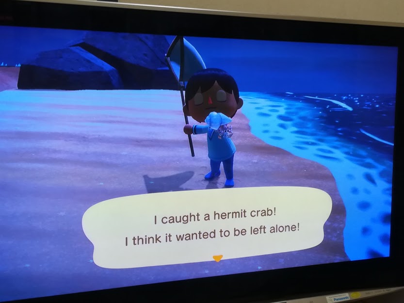 f:id:kougainet:20200330172838j:plain