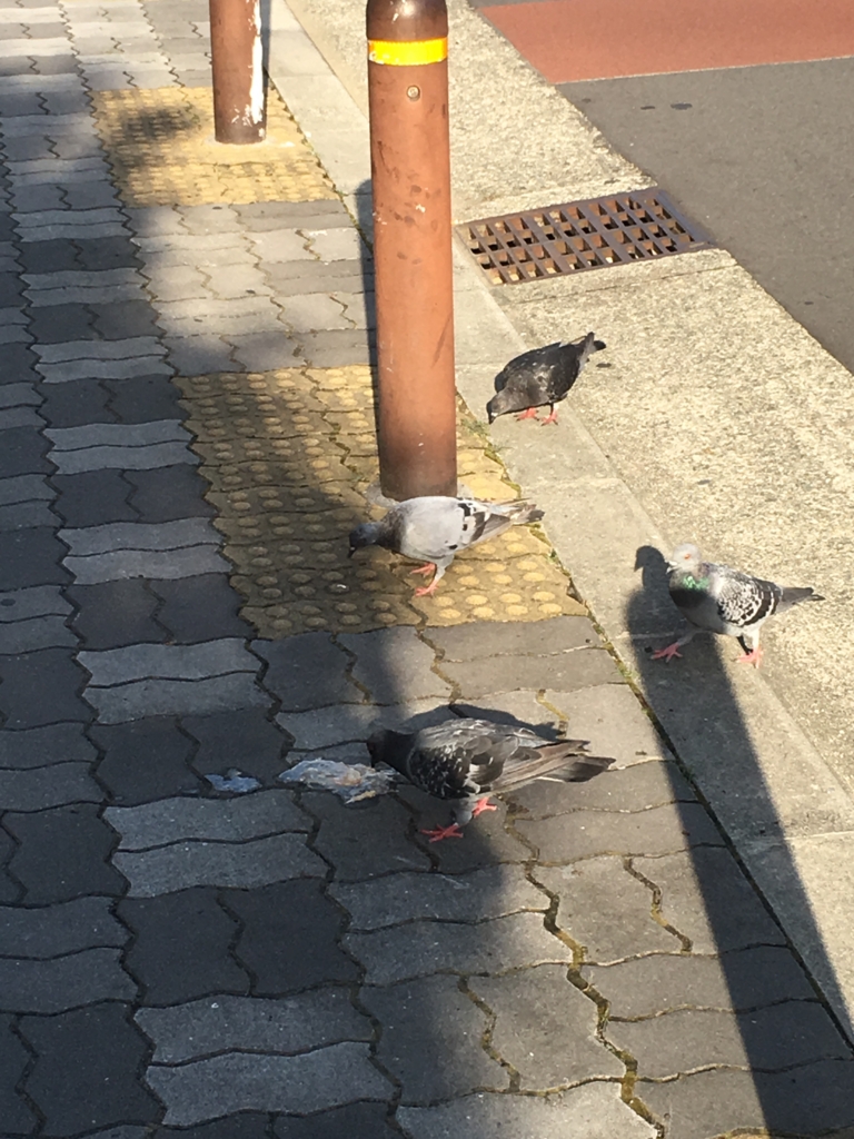 f:id:kougasetumei:20160907220501j:plain f:id:kougasetumei:20160907220501j:plain