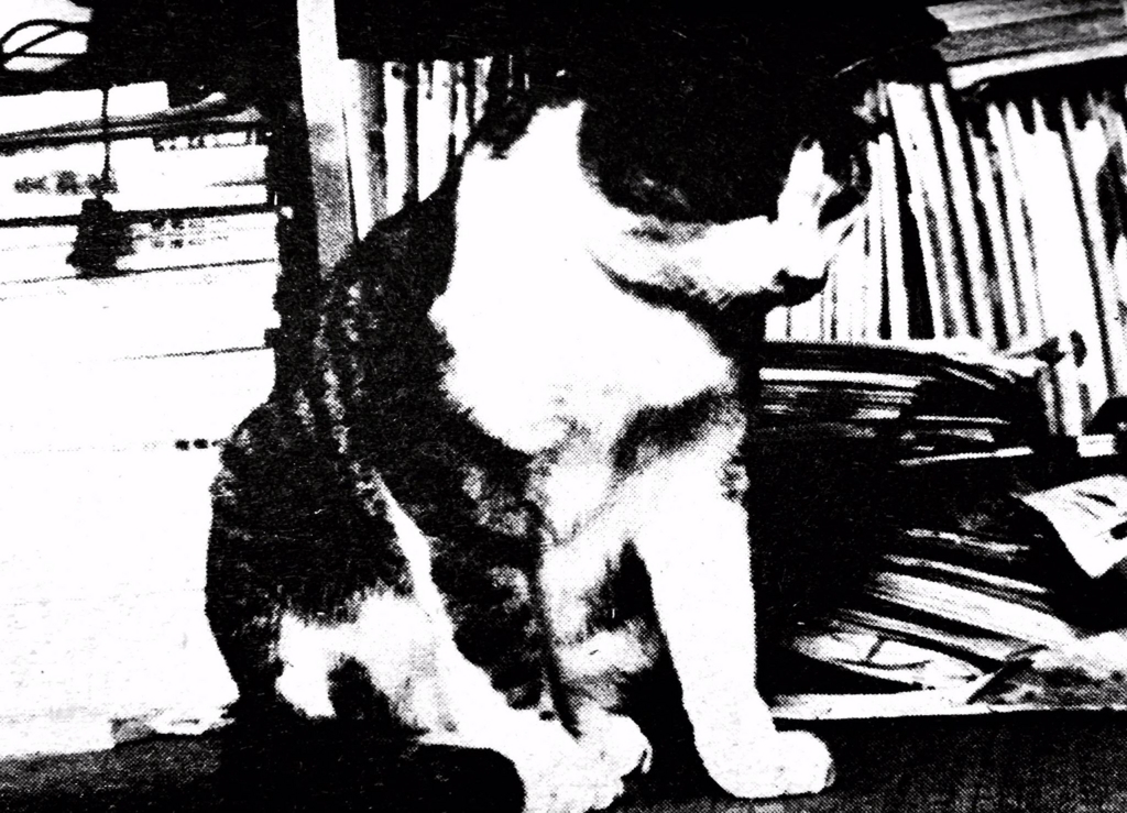 f:id:kougasetumei:20171221102557j:plain f:id:kougasetumei:20171221102557j:plain