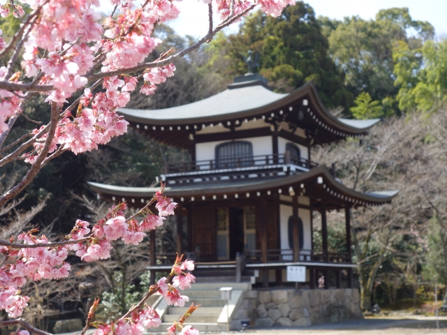 f:id:kouhei-s:20190228225657j:plain