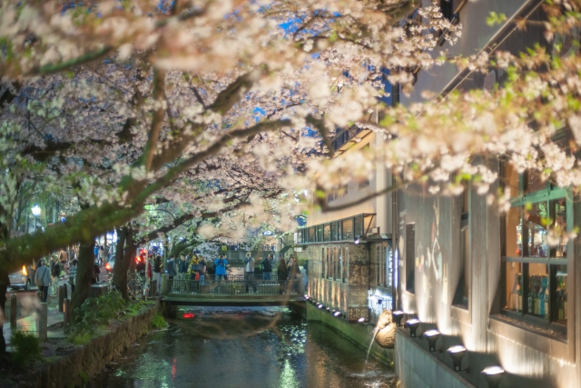 f:id:kouhei-s:20190807163721j:plain