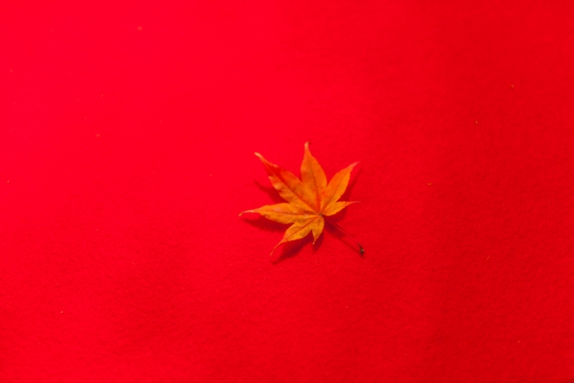 f:id:kouhei-s:20201211201601j:plain