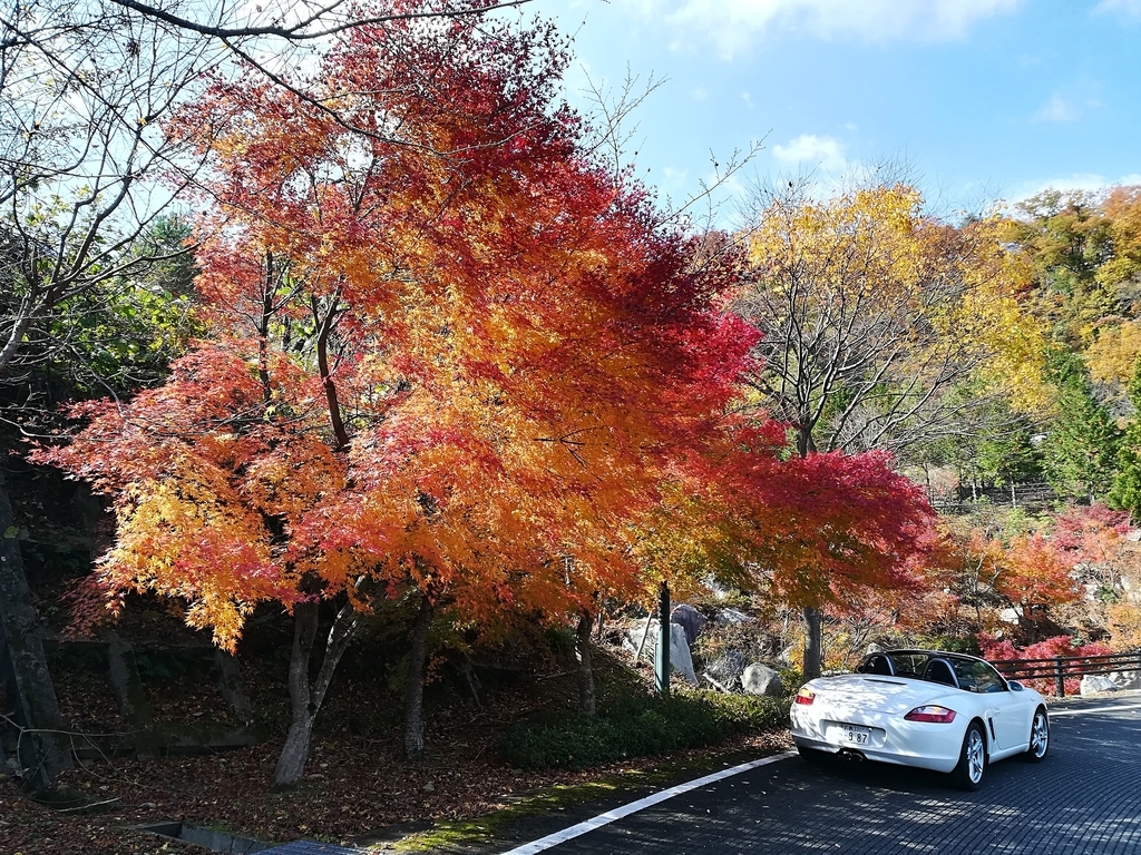 f:id:kouheibasi:20181110230149j:plain f:id:kouheibasi:20181110230149j:plain