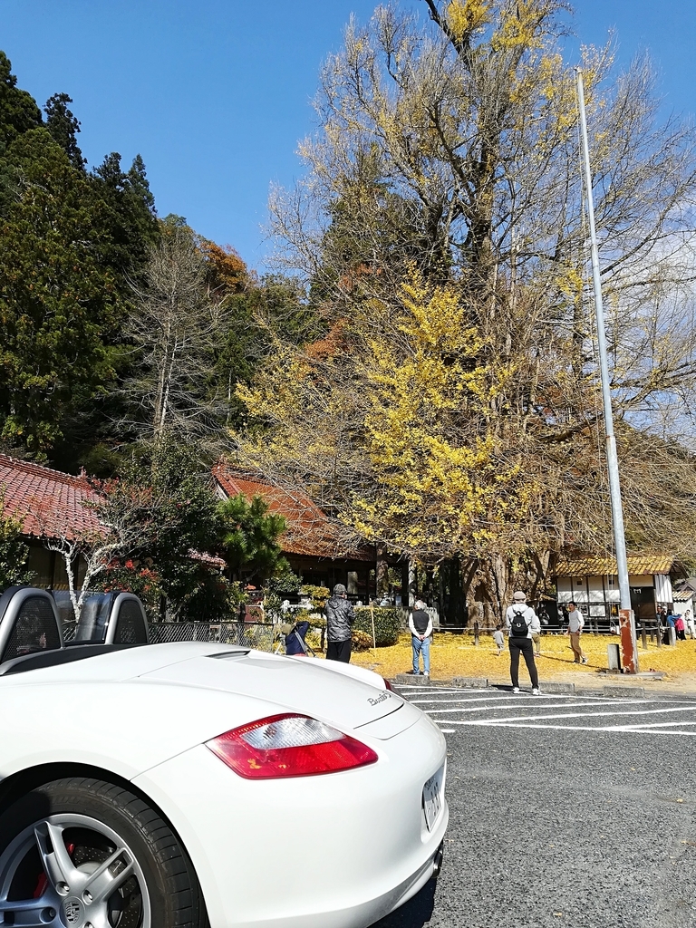 f:id:kouheibasi:20181110230732j:plain f:id:kouheibasi:20181110230732j:plain